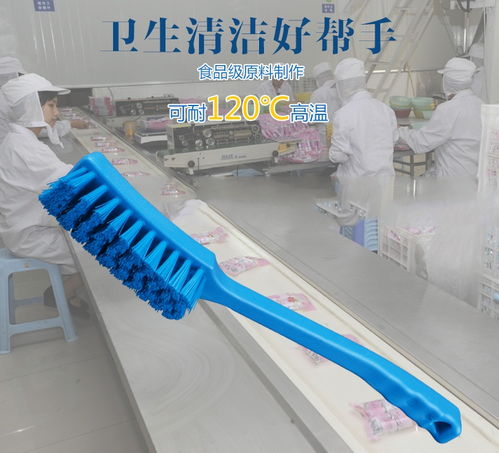 多用途刷2221 食品餐厨清洁擦拭的专业助手