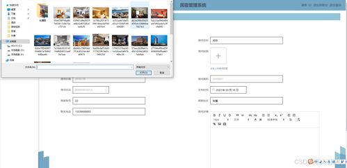 python flask计算机毕业设计民宿管理系统 程序 开题 论文
